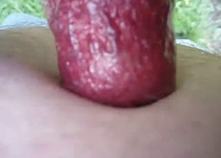 The kinkiest kind of penetration ever