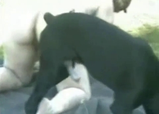 Fat amateur doggy style fucked outdoors