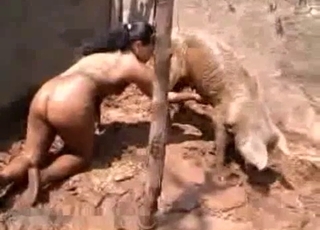Dirt-covered Latina stalks a kinky pig
