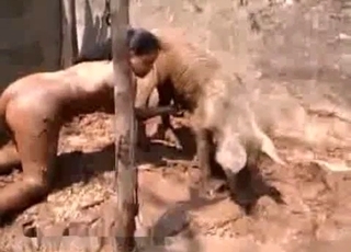 Dirt-covered Latina stalks a kinky pig