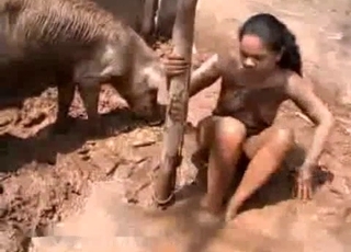 Dirt-covered Latina stalks a kinky pig