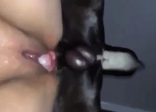 Passionate doggo fucking that tight ass