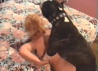 Doggy is having fun with a pretty sweet model