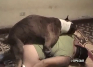 Zoophilic bitch is deepthroating a mutt shaft