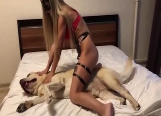 Lovely doggy and a sensual pet lover