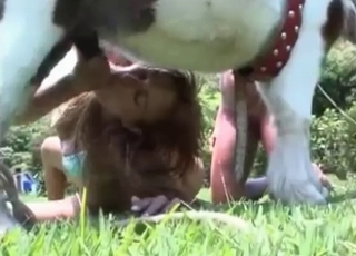 Brown-haired babe savors that cock