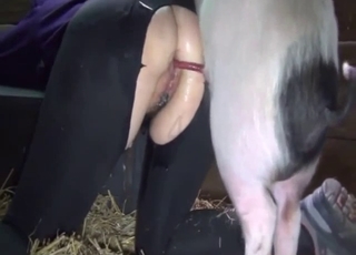 Impressive farm pig fucked her tight hole from behind