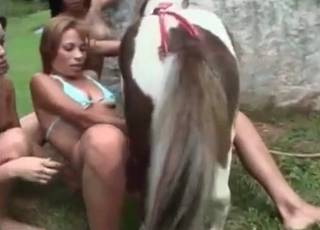 Nice young horse and lustful as hell zoophiles