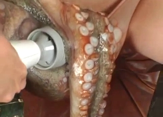 Creepy octopus molesting a Japanese hoe