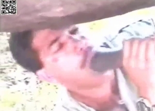 Dudes team up to suck off a horse at a farm