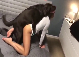 Doggystyle dicking for a leggy brunette girl