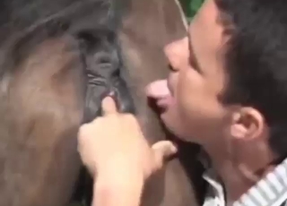 Balls and dick buried in this mare's hot cunt