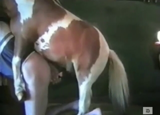 Super-pasty white dude fucks a sexy pony