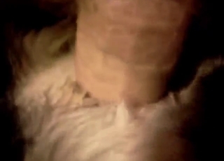 POV fucking with a beast that gets gaped hard