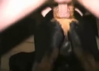 Rotty fucker dominates that pussy hole hard