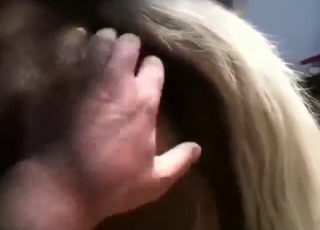 Bestiality porn shows a mare that wants to mate
