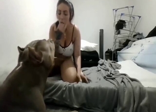 Sensational dog-fucking whore takes it deep