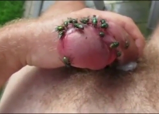 Animal is going to live inside his dick now