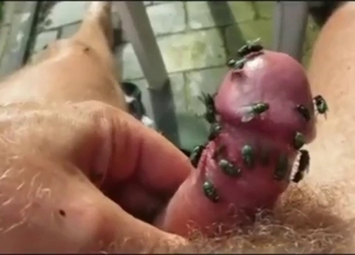 Animal is going to live inside his dick now
