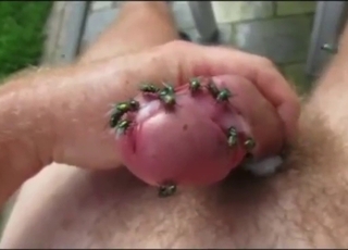 Animal is going to live inside his dick now