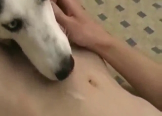 Bestiality porn shows a sexy beast and horny dude