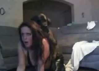 Babe distracts her man by fucking his pet too