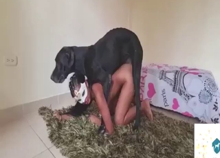 Girl show their skills in a zoo fuck compilation