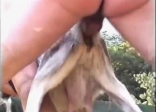Bestiality porn with guy training whores & beasts