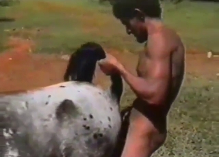 Pony's coochie gets fucked by a true alpha