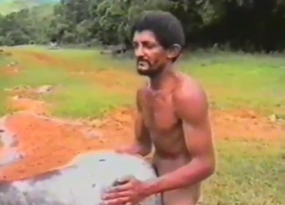 Pony's coochie gets fucked by a true alpha