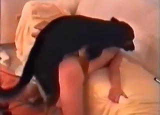 Black dog is going to ravage her hole