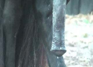 His ass is going to get screwed from behind