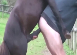 His ass is going to get screwed from behind