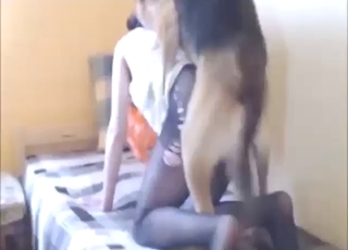 Boning bang with a zoophile who needs it bad