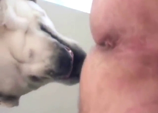 White dog fucking a guy's asshole from behind