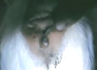 Goat fuck in zoo porn movie with close-ups
