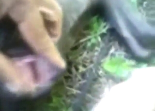 Bestiality porn with plenty of fingering, teasing