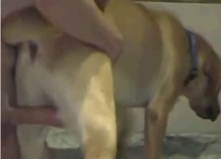 White dog getting fucked by a grunting dude