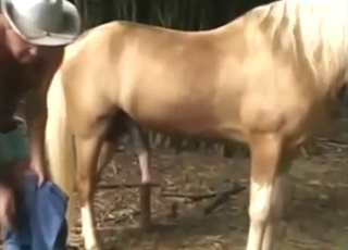 Big dick horse easily seduces for bestiality sex