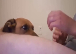 Sexy brown dog is going to love his cock too