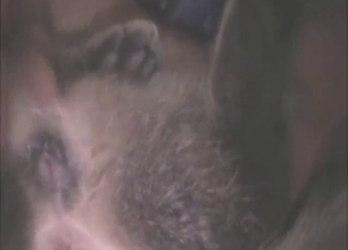 Zoo porn with a wet dog pussy getting fingered