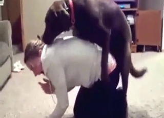 Bestiality porn shows a teen who loves dry humping