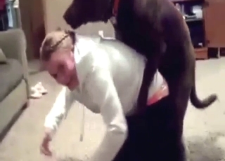 Bestiality porn shows a teen who loves dry humping