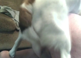 Bestiality sex with a round-assed zoophile dude