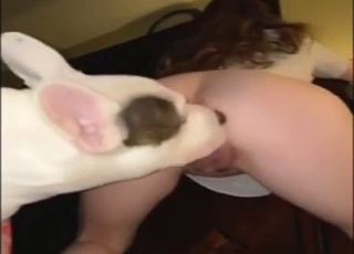 Girl feeds that dog that sensitive asshole