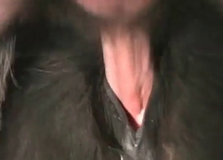 Animal sex with a filthy guy