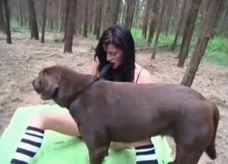 Sweet outdoor zoo sex with a dog