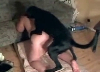 Black pup penetrating woman