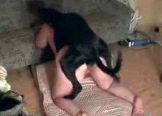 Black pup penetrating woman