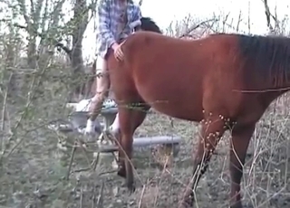 Horse being nicely fingered